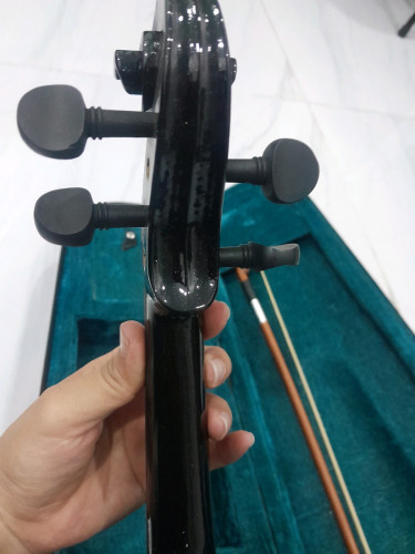 Violin