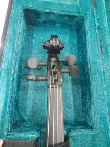 Violin