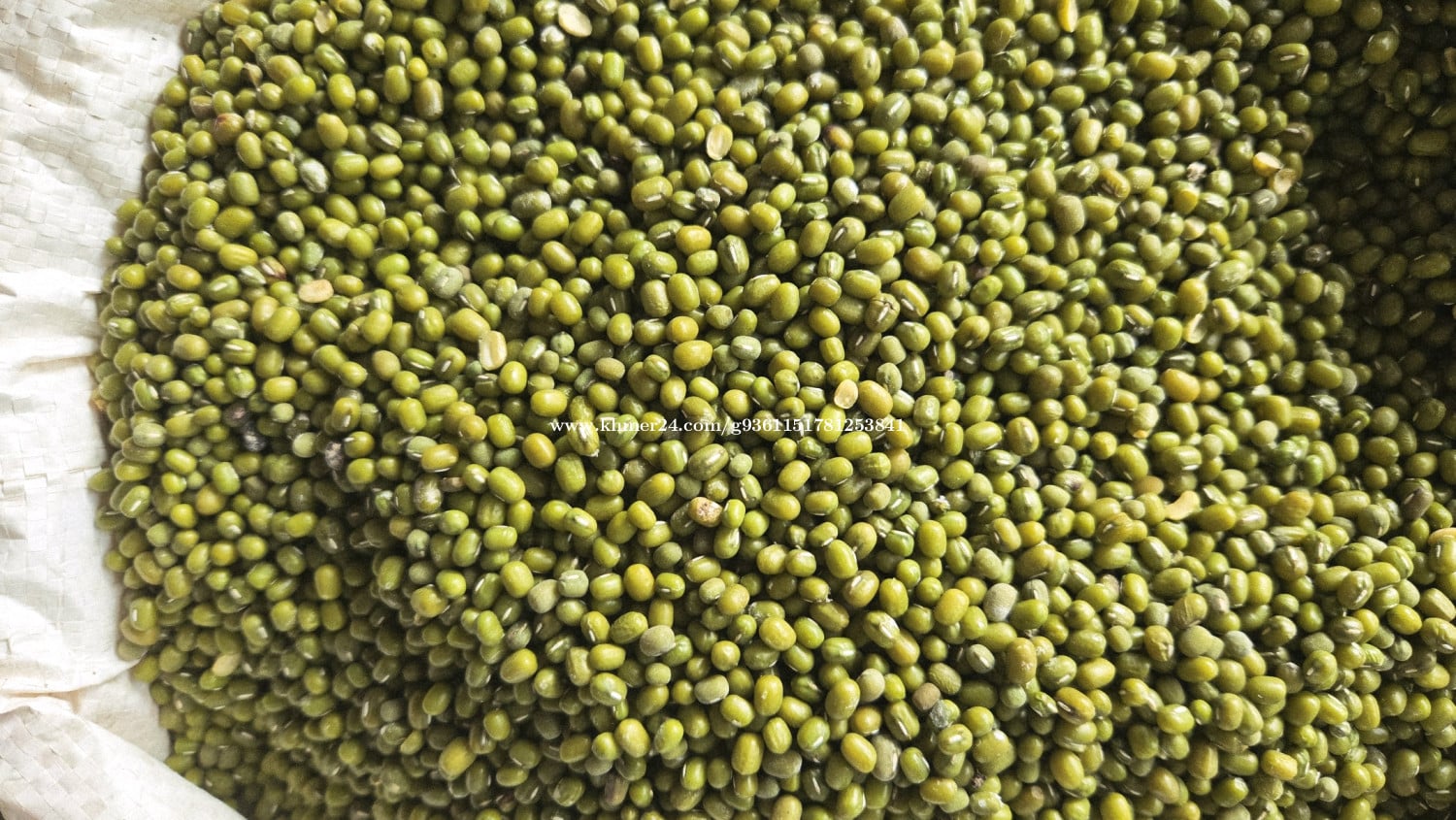 សណ្ដែកបាយ