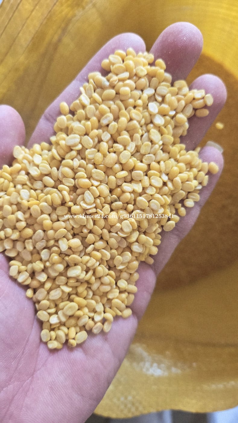 សណ្ដែកបក