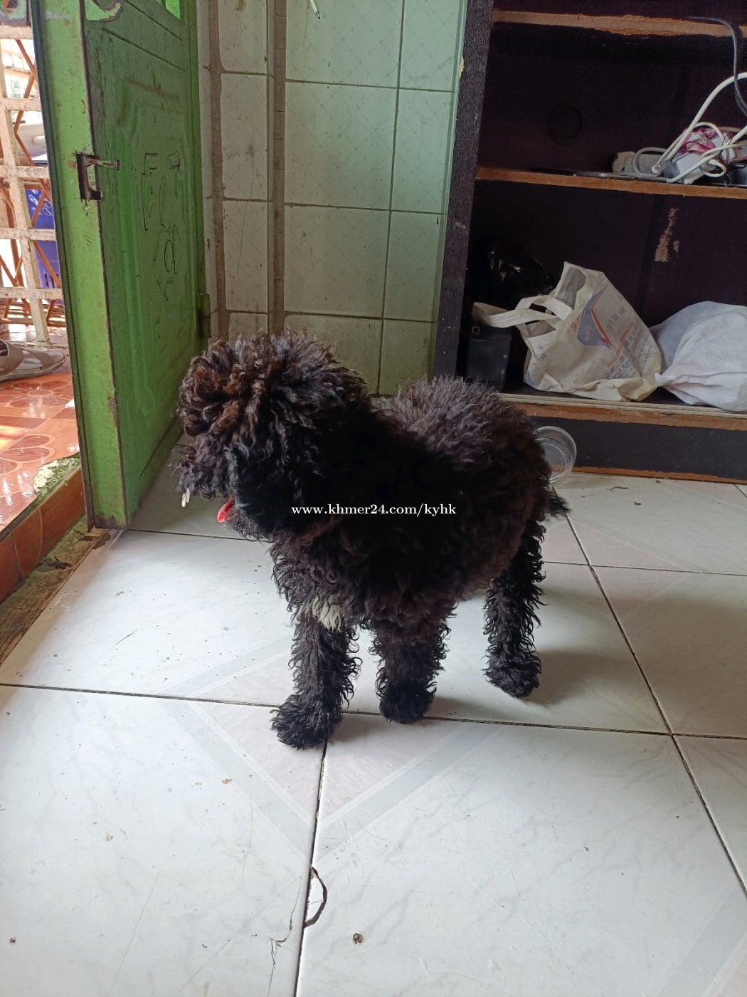 លក់អត់មានពេលមើល ២ 150$