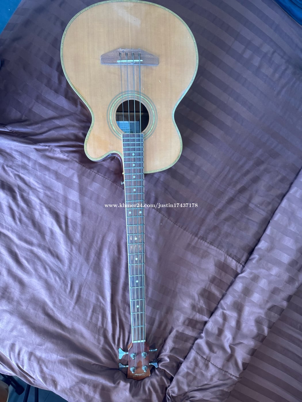 Electric acoustic bass
