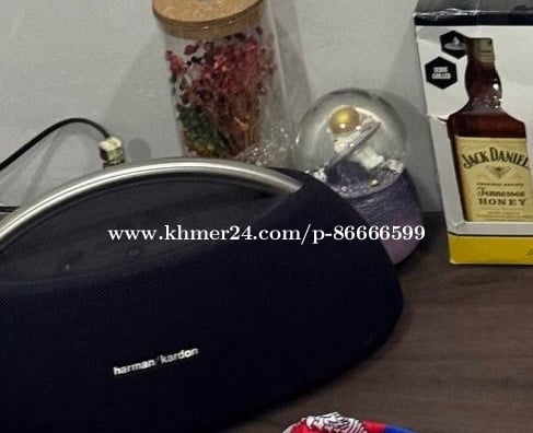 Harman Kardon go play for sale