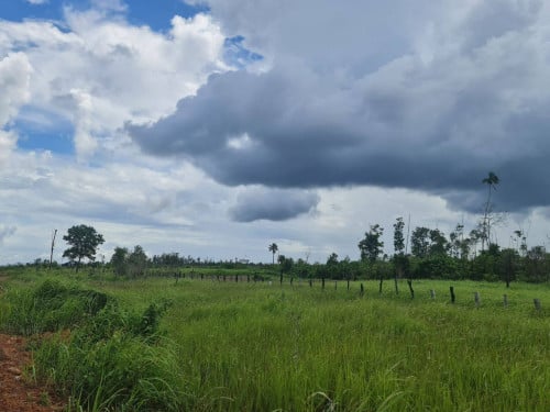 ដីលក់បន្ទាន់!