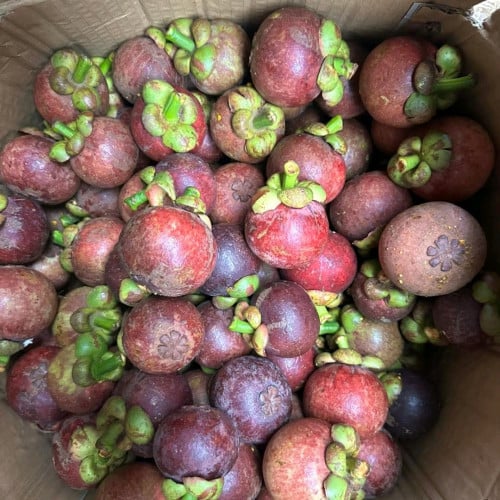 ប័រមណ្ឌលគិរី