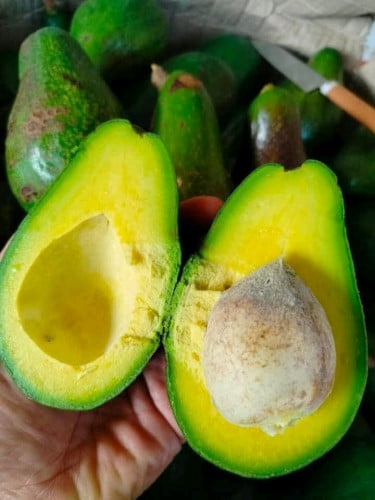 ប័រមណ្ឌលគិរី