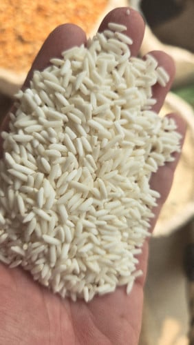 អង្ករដំណើប