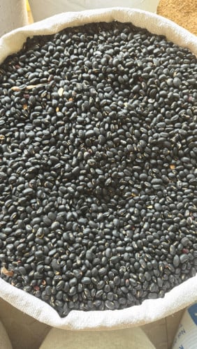 សណ្ដែកខ្មៅ
