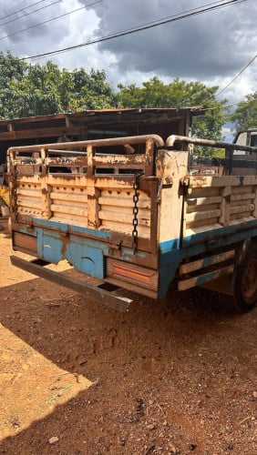 សាំយ៉ុងកាត់ទ្រុងលក់