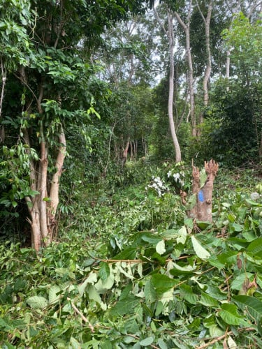 លក់ម្តងទៀត បន្ទាន់