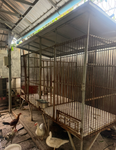 ទ្រុង1.2 x 3m ខាន់បាន២