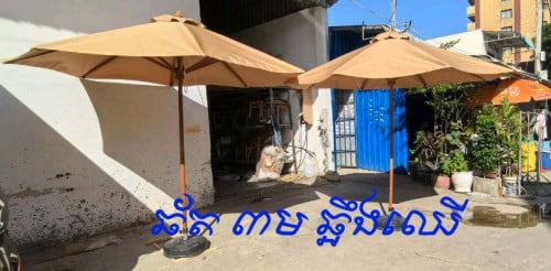 ឆ័ត3មឆ្អឹងឈើ