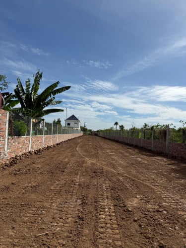ដីលក់បន្ទាន់ម្ចាស់ផ្ទាល់ ប្លង់រឹង ទឹកតែពេញ3%