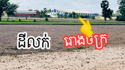 ដីលក់ជាប់ប្រឡាយ 50m (នៅបសេដ្ឋ)