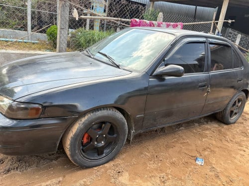 លកcorolla99 មានពន្ធត្រឹមត្រូវ