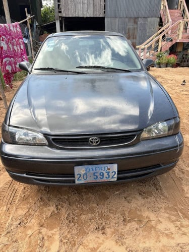 លកcorolla99 មានពន្ធត្រឹមត្រូវ