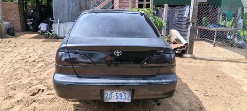 លកcorolla99 មានពន្ធត្រឹមត្រូវ