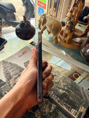 លក់ iPhone 14 Pro Max