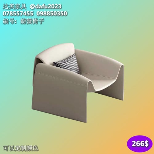 កៅអីសាឡុង sofa chairs 休闲沙发椅