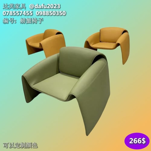 កៅអីសាឡុង sofa chairs 休闲沙发椅