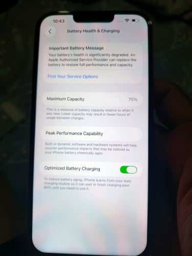 13pm 256gb ZP
