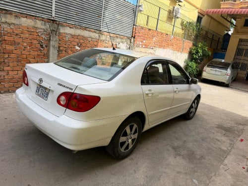 Corolla 03LEក្នុងលឿងធានាជួនឡានសំណុំហ្ស៊ីន