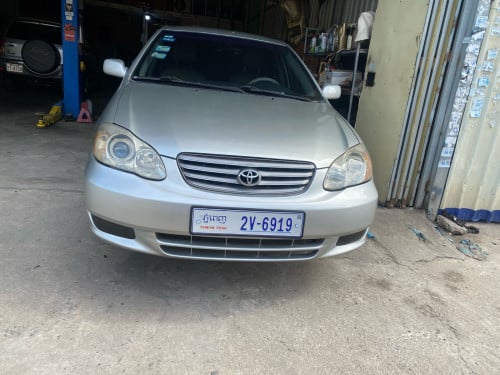 Corolla LE 2003 ឡានថ្មី