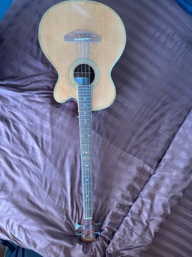 Electric acoustic bass