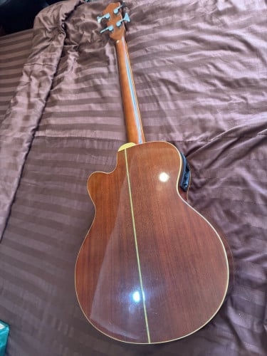 Electric acoustic bass