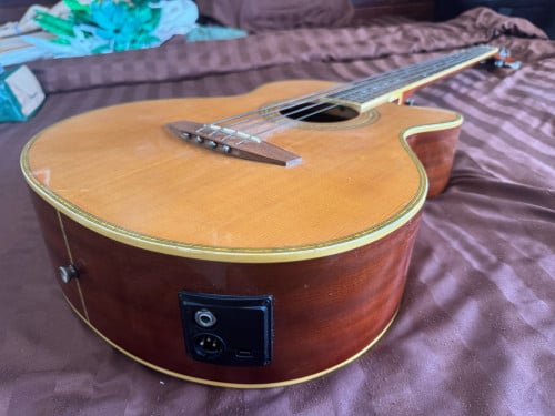 Electric acoustic bass