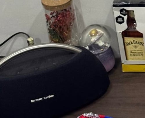 Harman Kardon go play for sale
