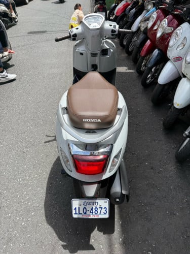 Honda Ginio