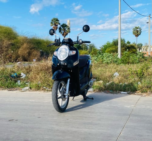 Honda Scoopy