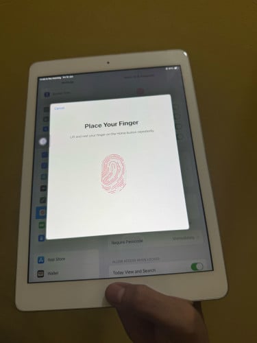 ipad(2)