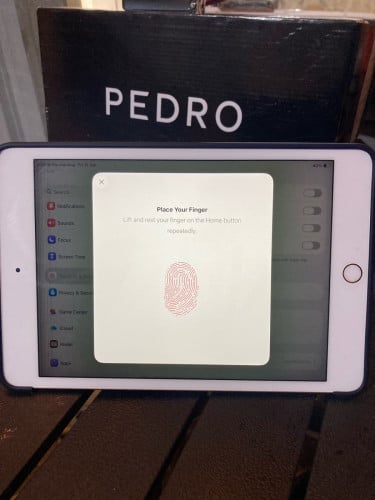 iPad Mini 5