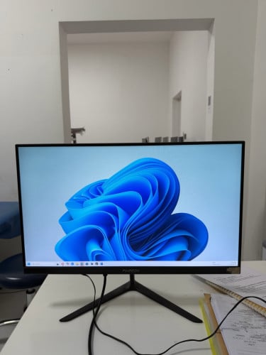 Monitor PINEEON