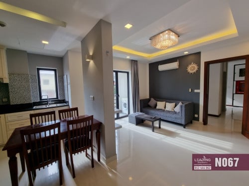 N067 | Nice Western Serviced Apartment For Rent in Toul Kork