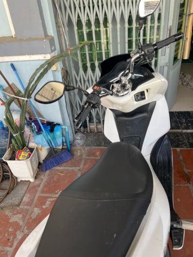PCX japan 100%