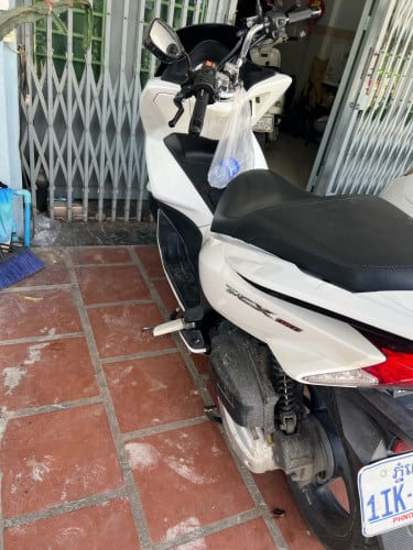PCX japan 100%
