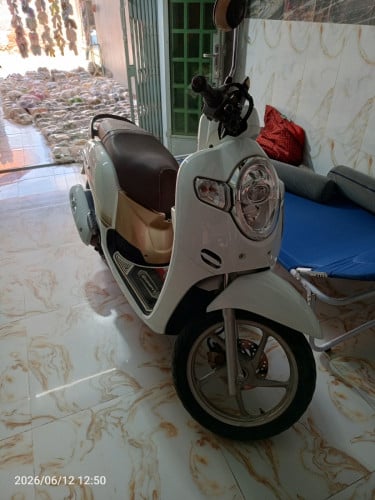 Scoopy 020