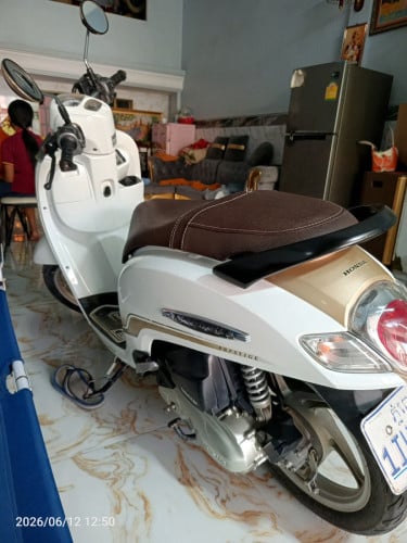 Scoopy 020