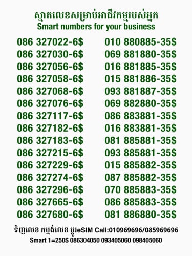 Smart លេខសម្រាប់អាជីវកម្ម