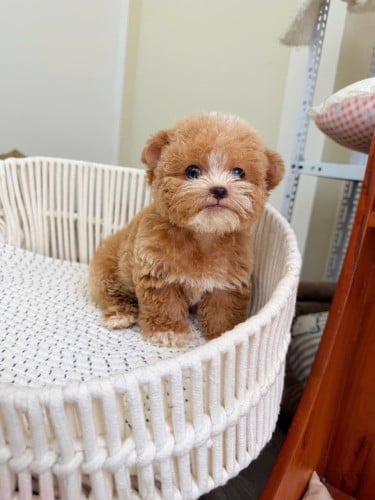 So cute