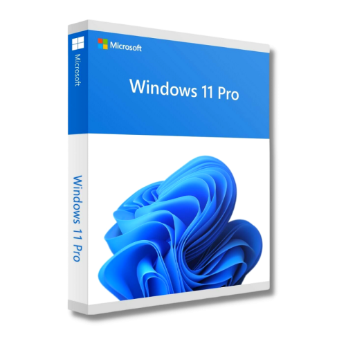 Software License