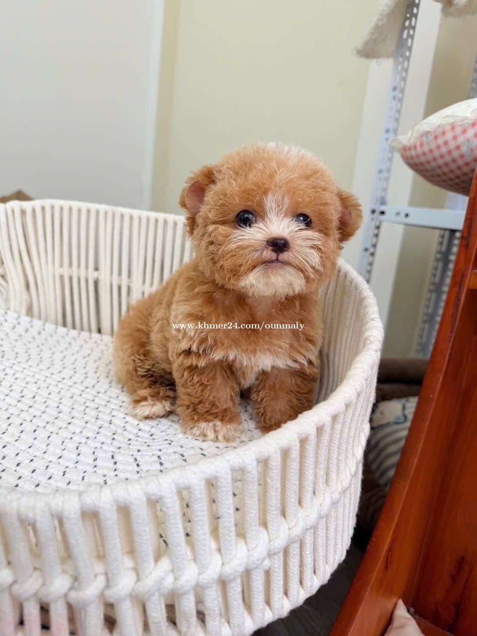 So cute