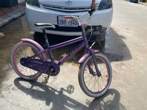 កង់ជប៉ុន