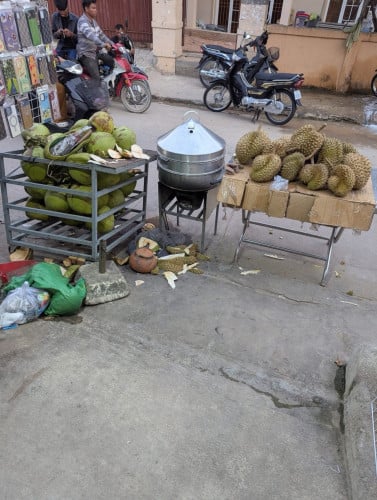 លក់ទ្រុងដាក់ដូងបានច្រើន