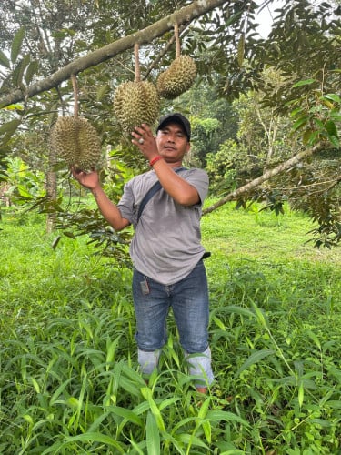 ធុរេន ខ្មែរ 100%