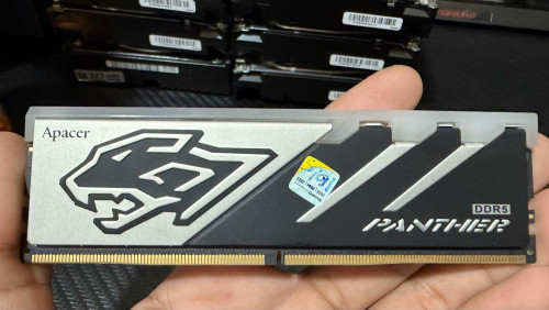 DDR5 32G