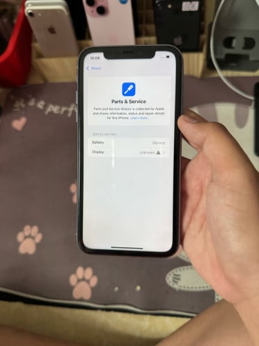 iPhone 11 64GB អេក្រង់សុីន ស្គេនមុខ តម្លៃ 100$